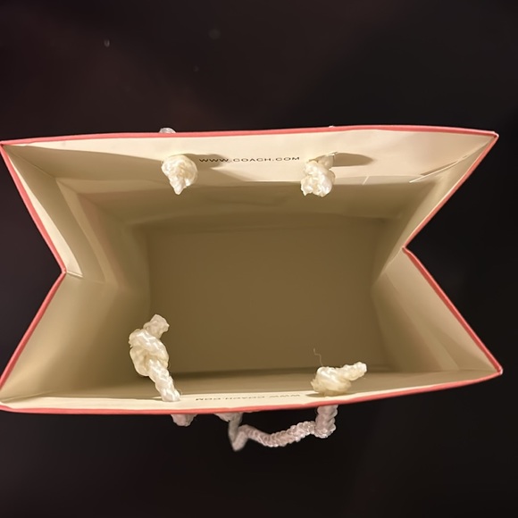 Striped Coach gift bag. Fits wristlet. - Picture 3 of 3